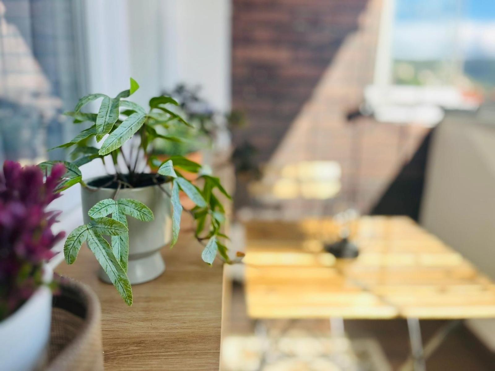 Mak Apartment - Free Parking - Balcony Сараево Екстериор снимка